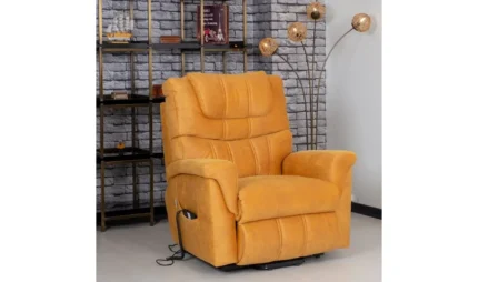 Zaranni Bej/Gri/Kahverengi/Krem/Lacivert/Pembe/Siyah hasta koltuğu ürün görseli